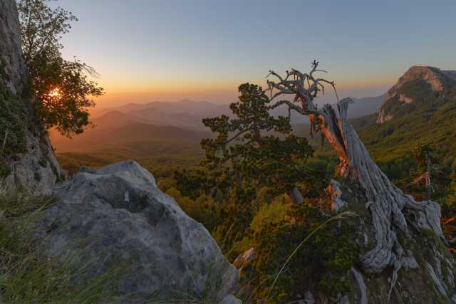 Diffondono bellezza e rispetto per l'ambiente: sono i "fotografi naturalisti"